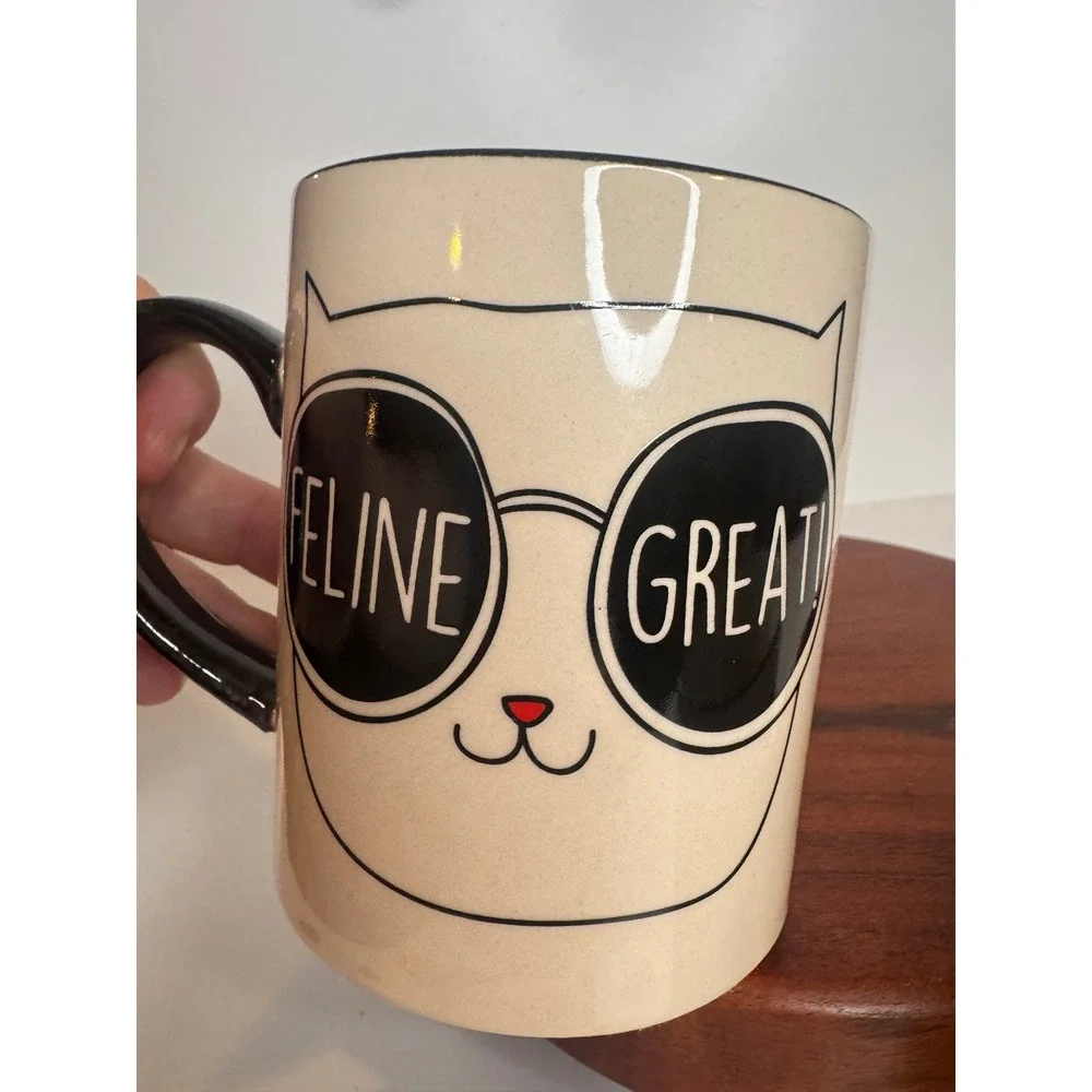 PET by Home Essentials Cat Mugs Set of 2 Feline Great Coffee Right Meow